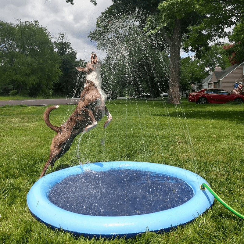 Seurico™ SplashPad
