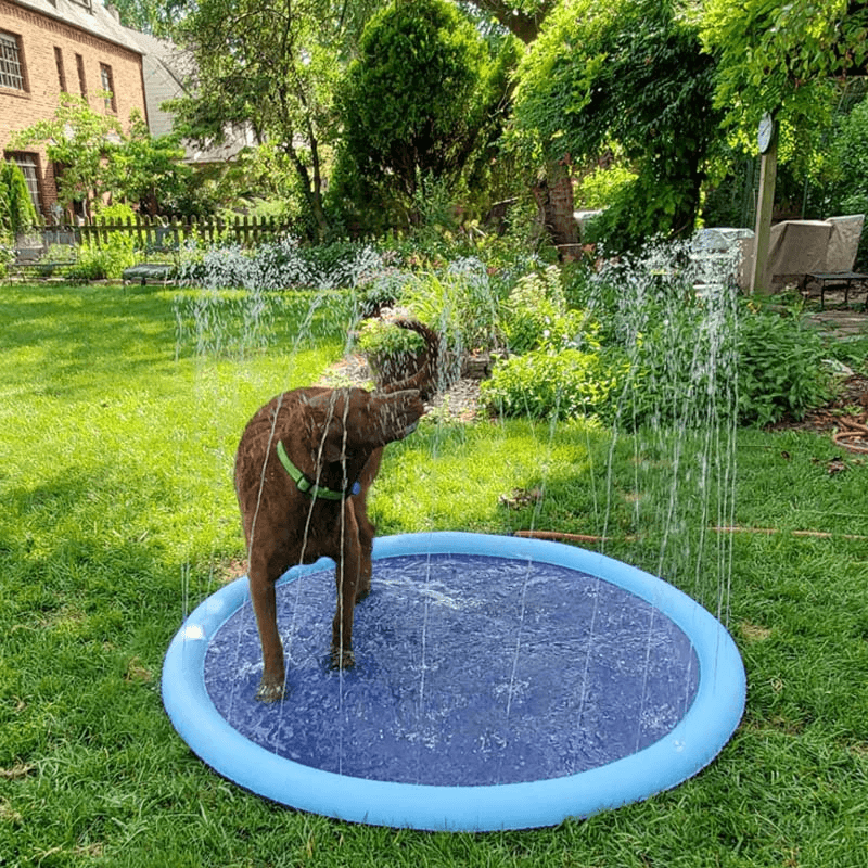 Seurico™ SplashPad