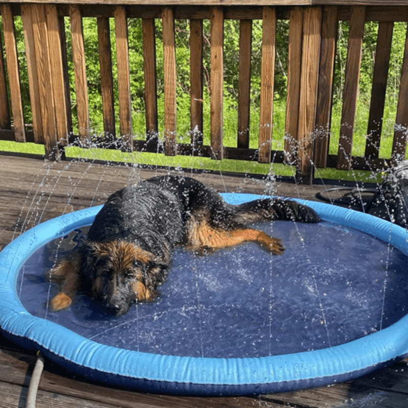 Seurico™ SplashPad