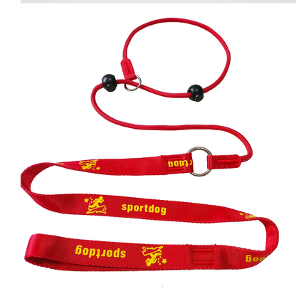 🐶 2-in-1 Slip Lead Dog Leash 🐾 – No-Pull Training Collar & Walking Leash with Anti-Tangle Swivel 🔄
