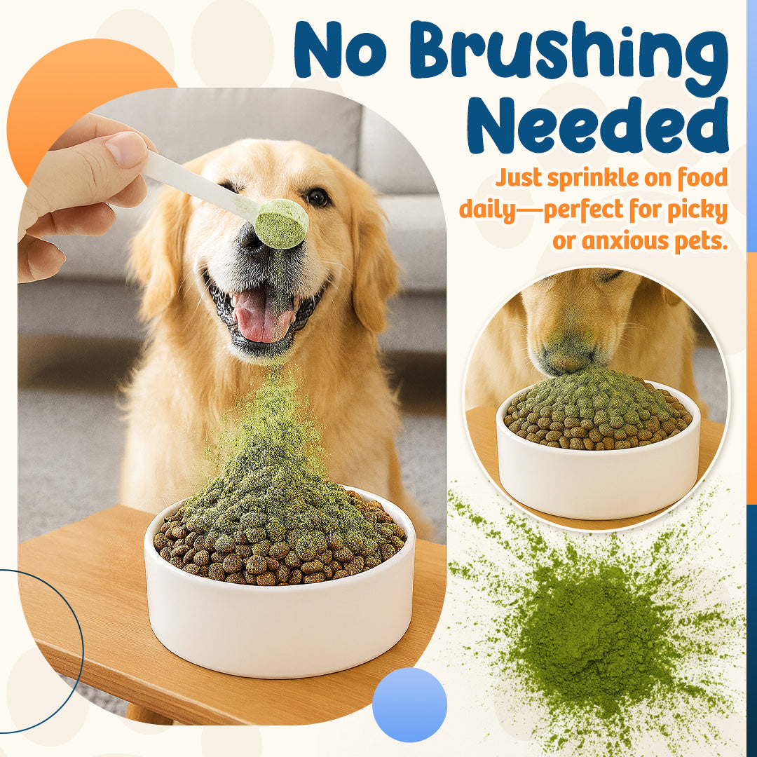 Zakdavi™ Pet Dental Powder 🐶✨ Fresh Breath & Stronger Teeth – No Brushing Needed!