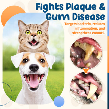 Zakdavi™ Pet Dental Powder 🐶✨ Fresh Breath & Stronger Teeth – No Brushing Needed!