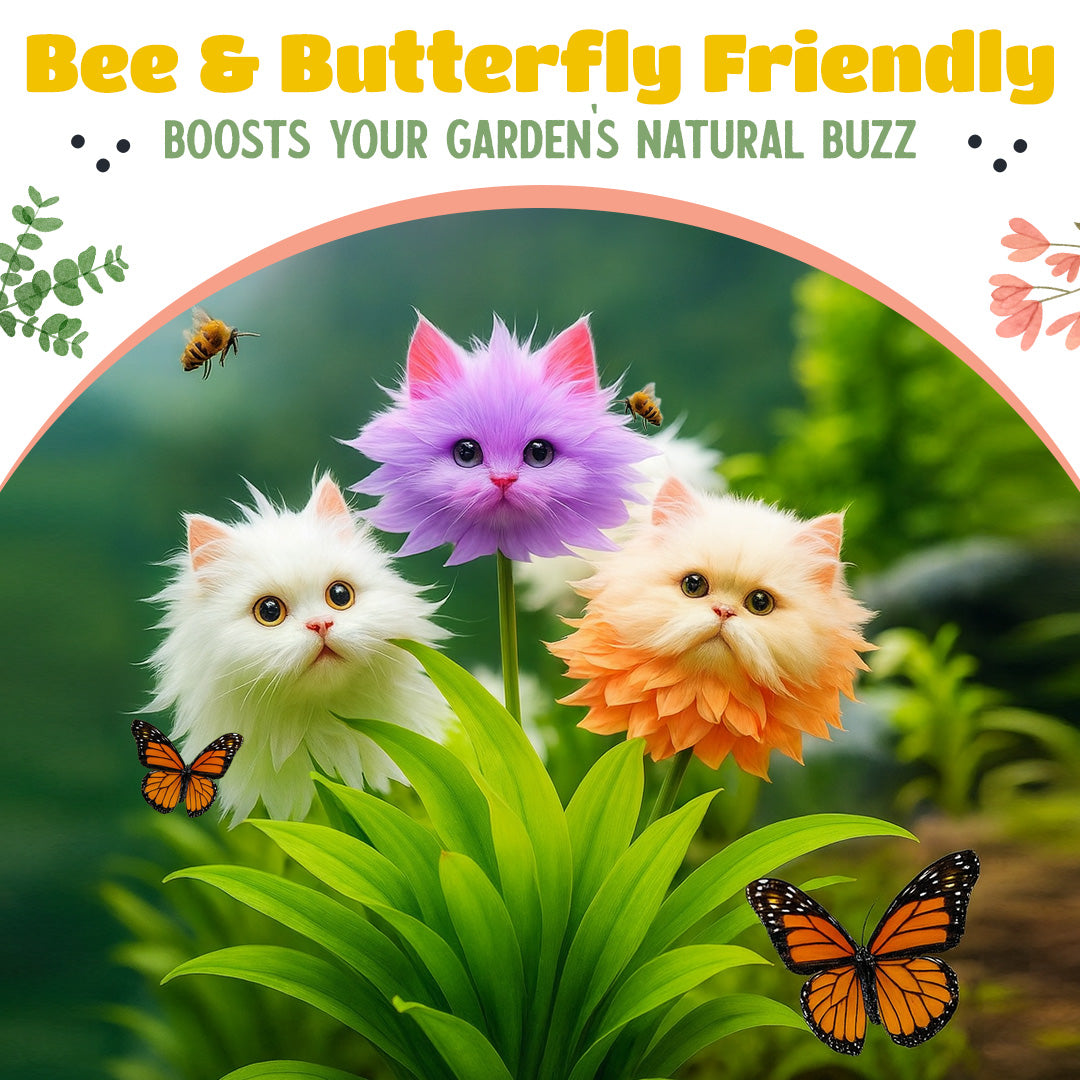🌼 Cat Garden – Charming Blossom Seeds✨