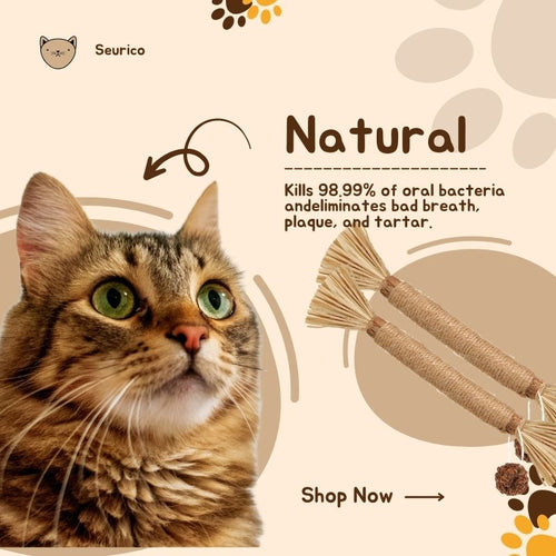 Seurico Natural Silvervine Dental Cat Chew Stick