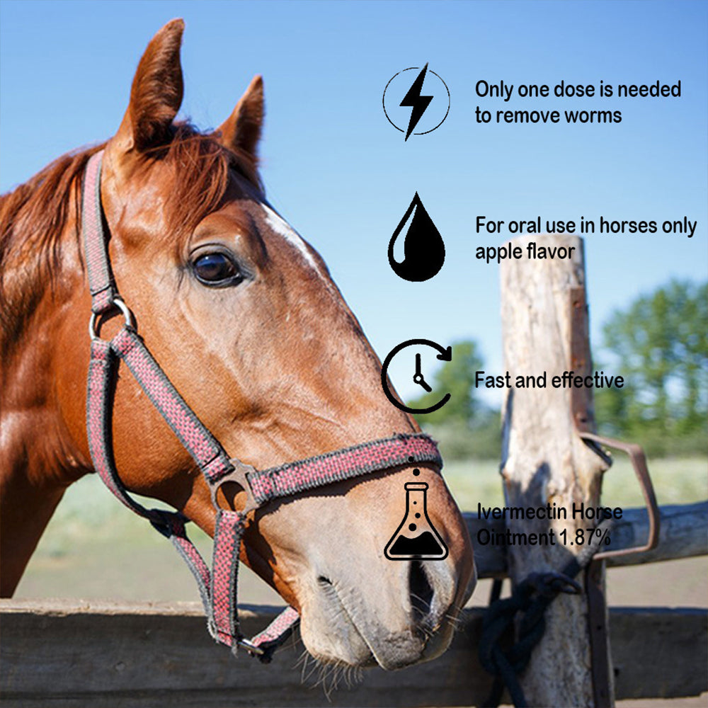 🔥 Last Day 49% OFF – Ivermectin Horse Dewormer Paste 1.87% (6.08g Tube)