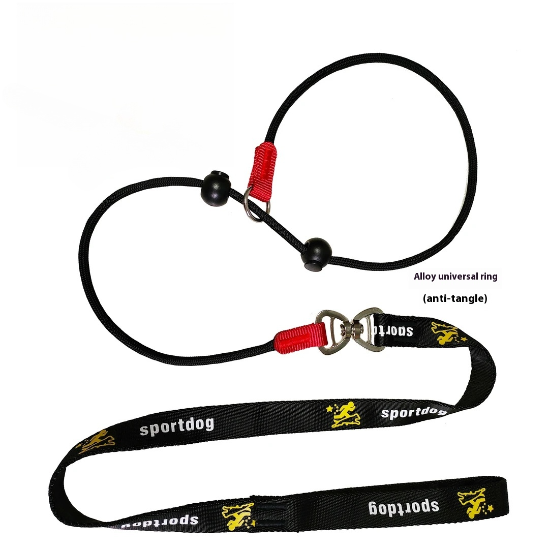 🐶 2-in-1 Slip Lead Dog Leash 🐾 – No-Pull Training Collar & Walking Leash with Anti-Tangle Swivel 🔄