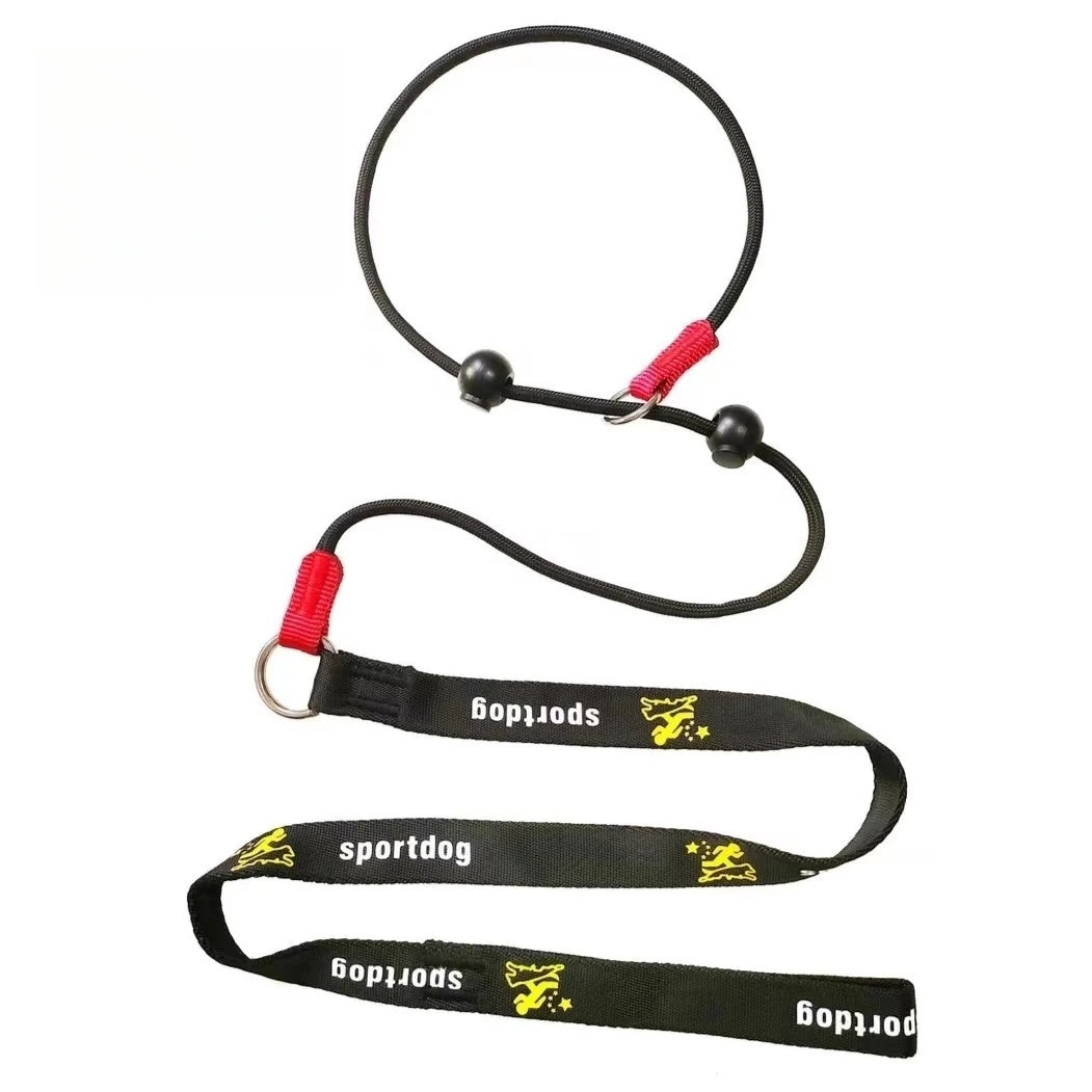 🐶 2-in-1 Slip Lead Dog Leash 🐾 – No-Pull Training Collar & Walking Leash with Anti-Tangle Swivel 🔄