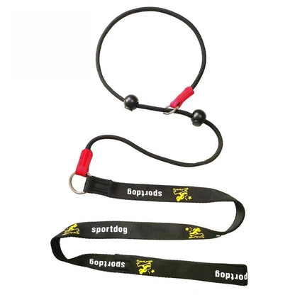 🐶 2-in-1 Slip Lead Dog Leash 🐾 – No-Pull Training Collar & Walking Leash with Anti-Tangle Swivel 🔄