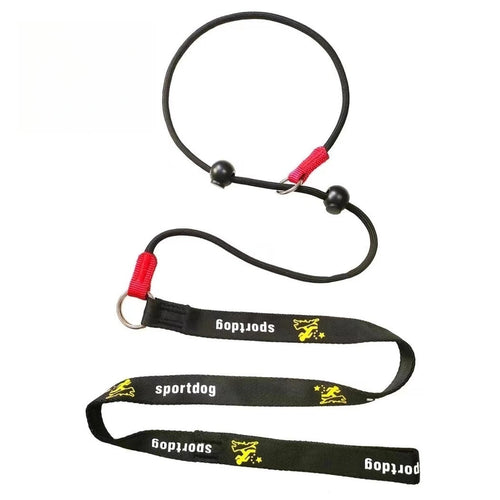 🐶 2-in-1 Slip Lead Dog Leash 🐾 – No-Pull Training Collar & Walking Leash with Anti-Tangle Swivel 🔄