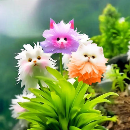 🌼 Cat Garden – Charming Blossom Seeds✨
